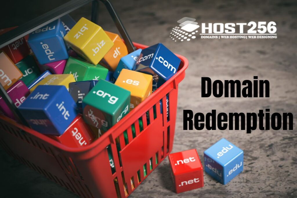 Domain Redemption Explained - Host256