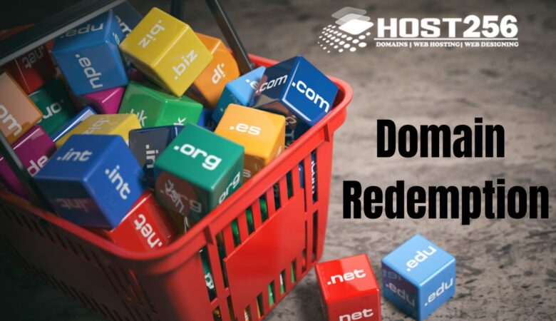 What is Domain Redemption Period